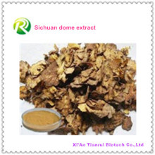 Extrait 100% naturel de rhizome de livèche de Sichuan / extrait de dôme de Sichuan